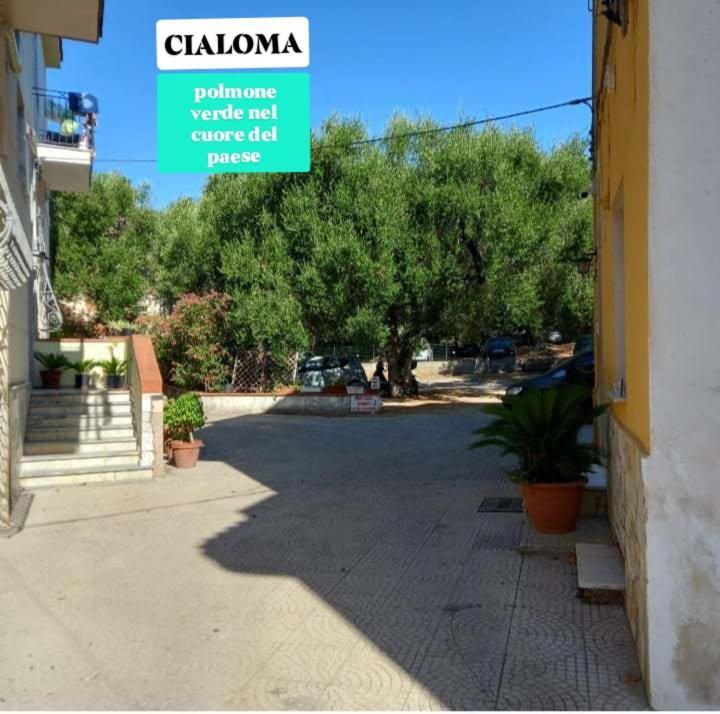Cialoma Full Green มารีนาดีกาเมโรตา ห้อง รูปภาพ